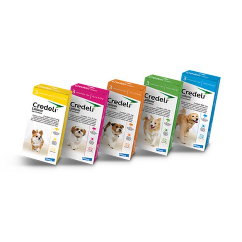 CREDELI CAES 5,5 - 11KG 225MG (01 COMPRIMIDO)